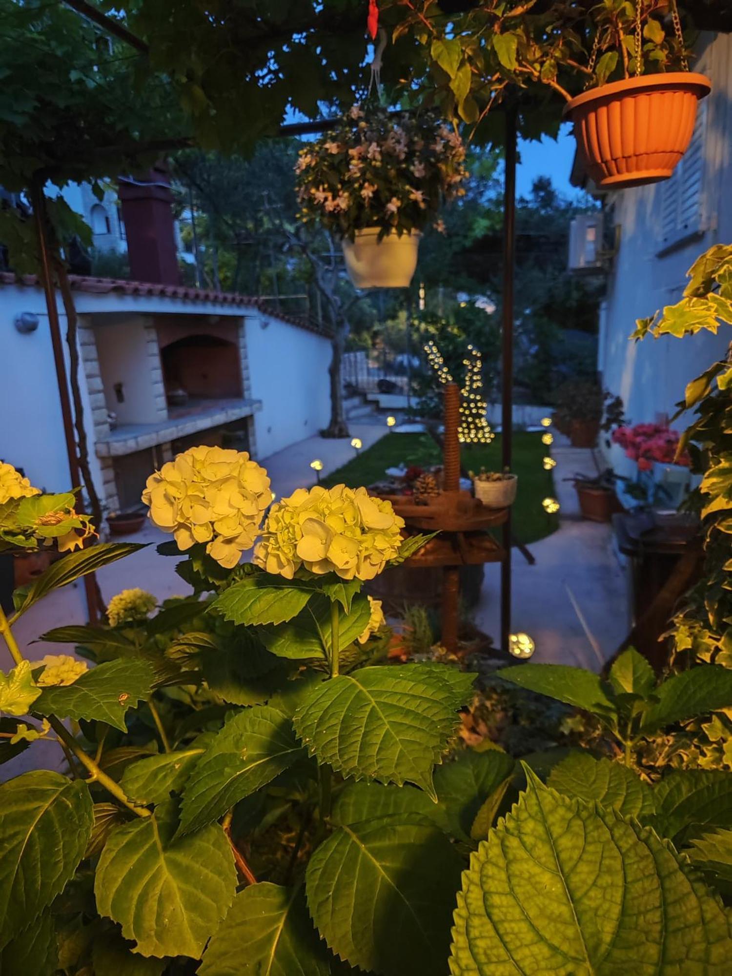 Apartmani Andela Kordic Supetarska Draga Buitenkant foto